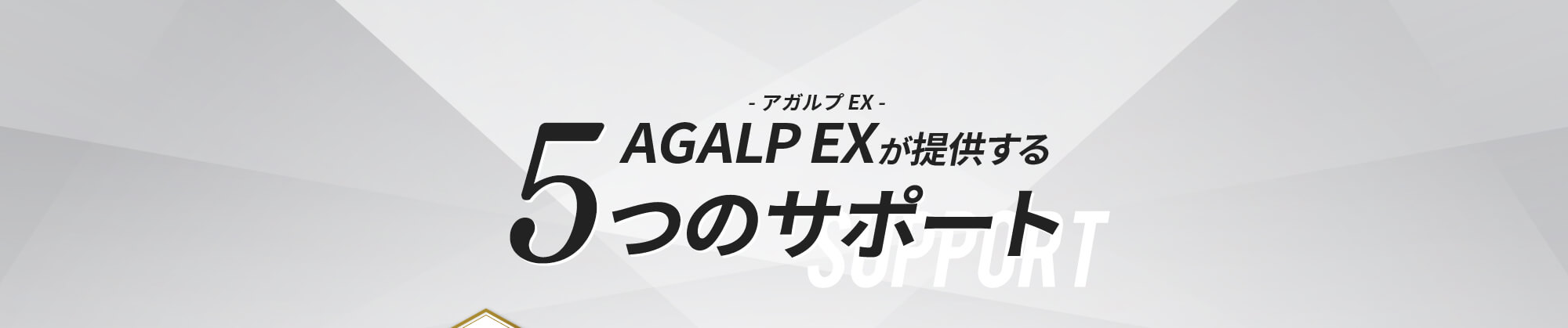 AGALP EXが提供する5つのサポート