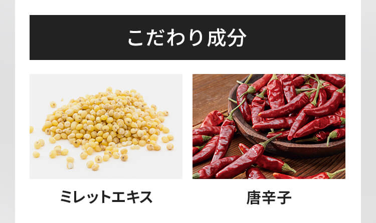 AGALP アガルプ　3個セット AGALP アガルプ3個セット